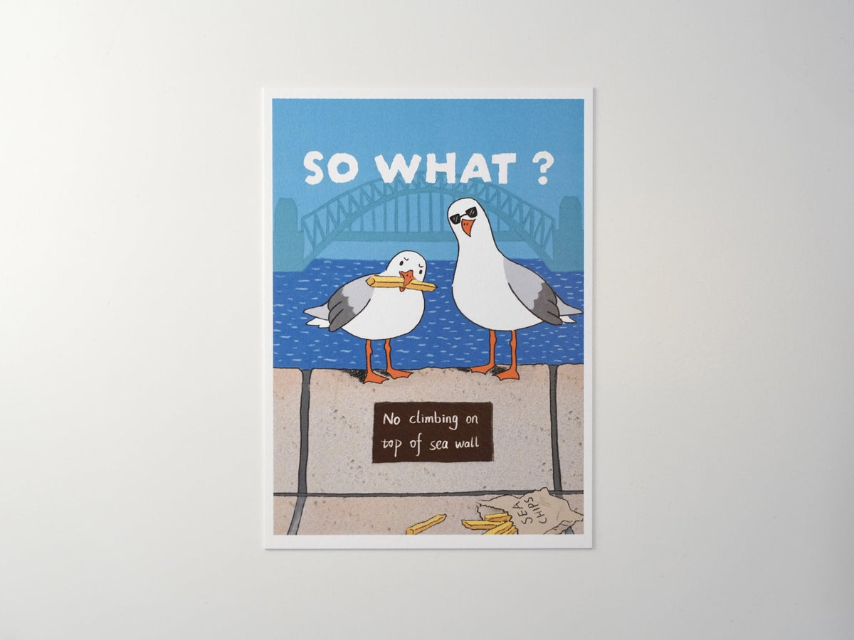Postcard | SO WHAT?