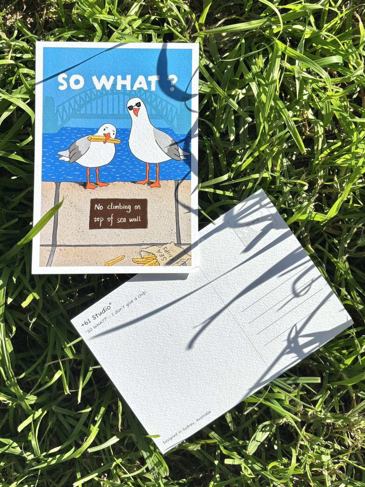 Postcard | SO WHAT?